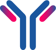 Anti-BNP antibody [13C1] (bc30601)